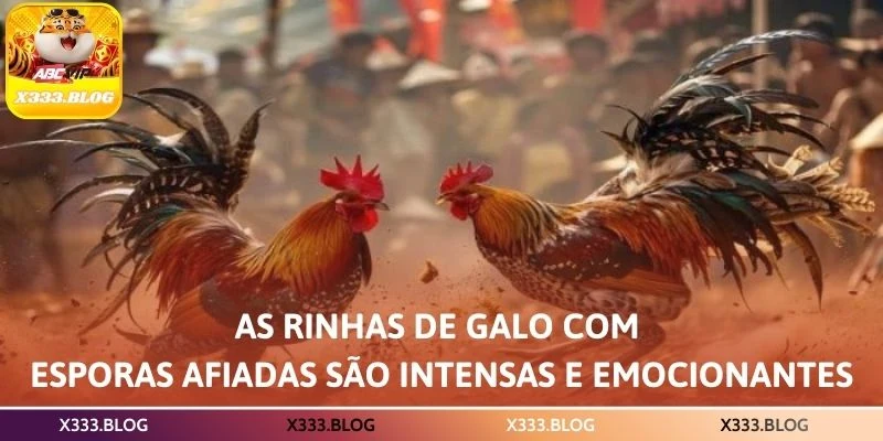 As rinhas de galo com esporas afiadas são intensas e emocionantes